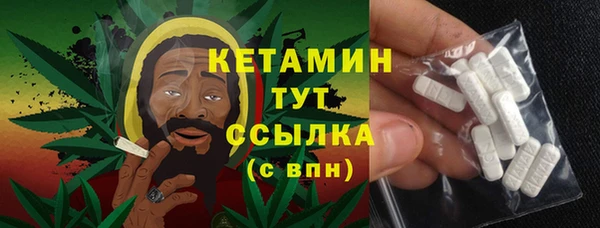 дмт Ельня