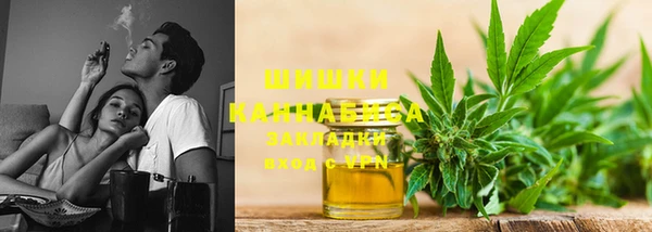 прущие грибы Балахна