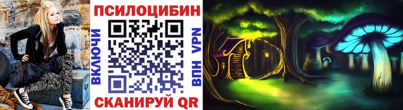 купить   Вяземский  Галлюциногенные грибы Magic Shrooms 